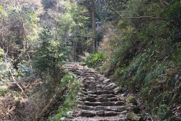 🏯 복을 베푸는 절 (세후쿠지)